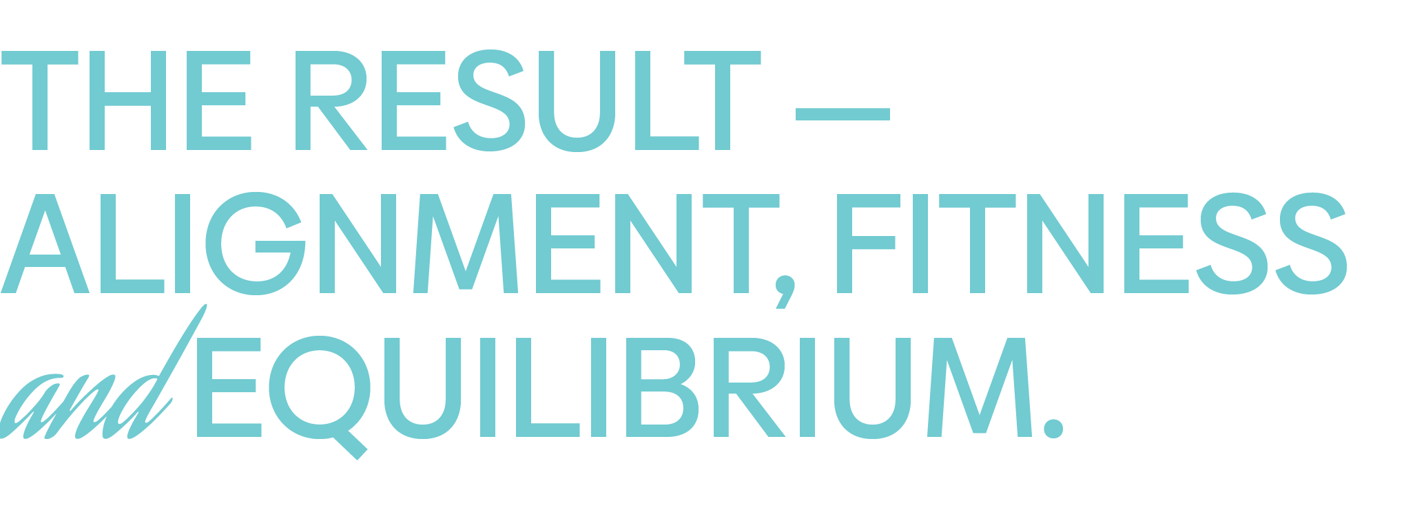 THE RESULT — ALIGNMENT, FITNESS and EQUILIBRIUM.