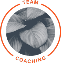 ECI_Team_Coaching_Icon