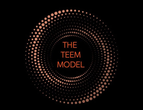 The Team Effectiveness and Engagement Model (TEEM)™