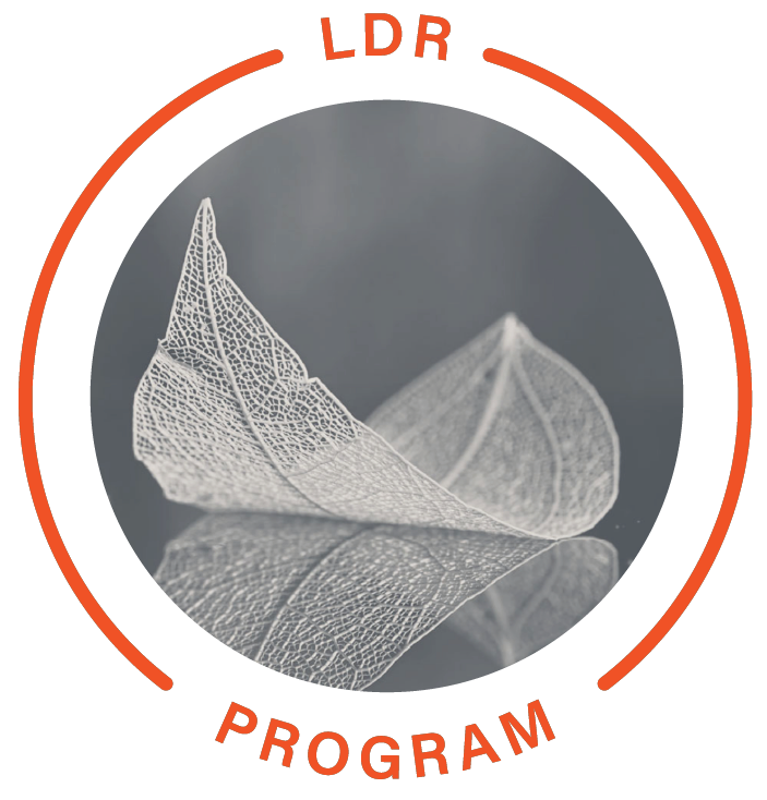ECI_Badge_LDR_Program