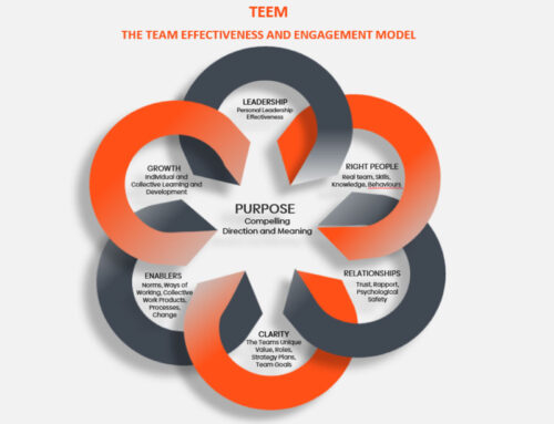TEEM: The Science (and Art) of High-Performing Teams